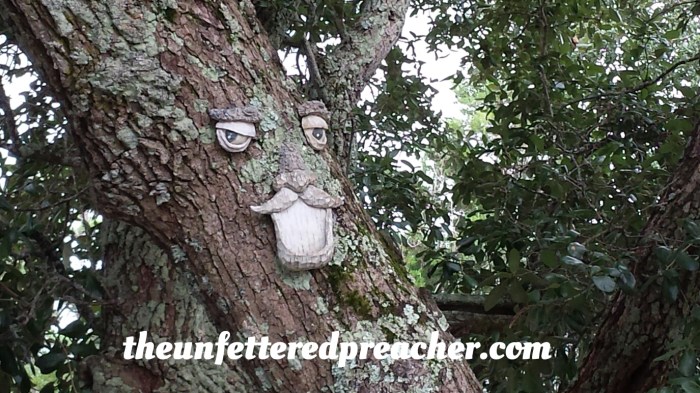 1444653068408.jpg image